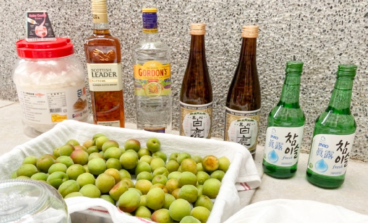 自製梅酒基酒 自製梅酒基酒