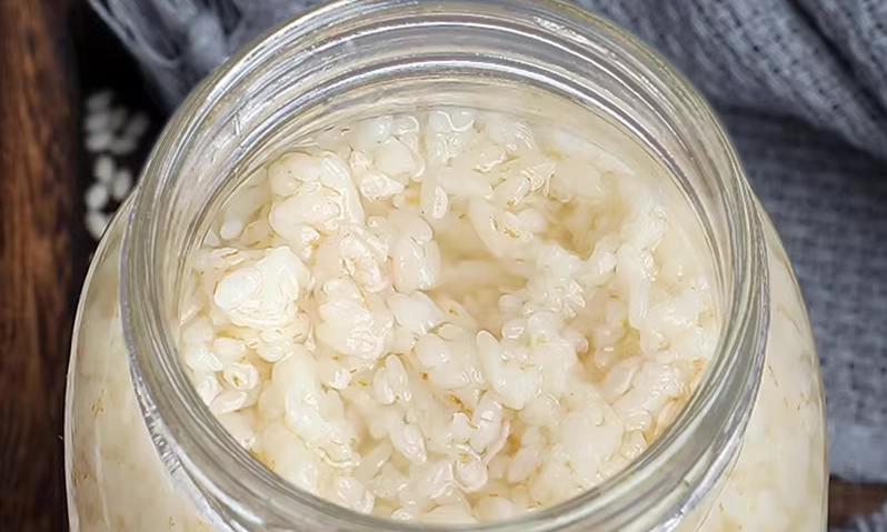 甜酒釀直接吃 甜酒釀直接吃