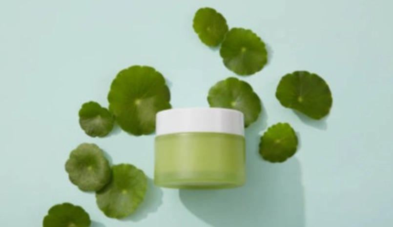 積雪草過敏 積雪草過敏