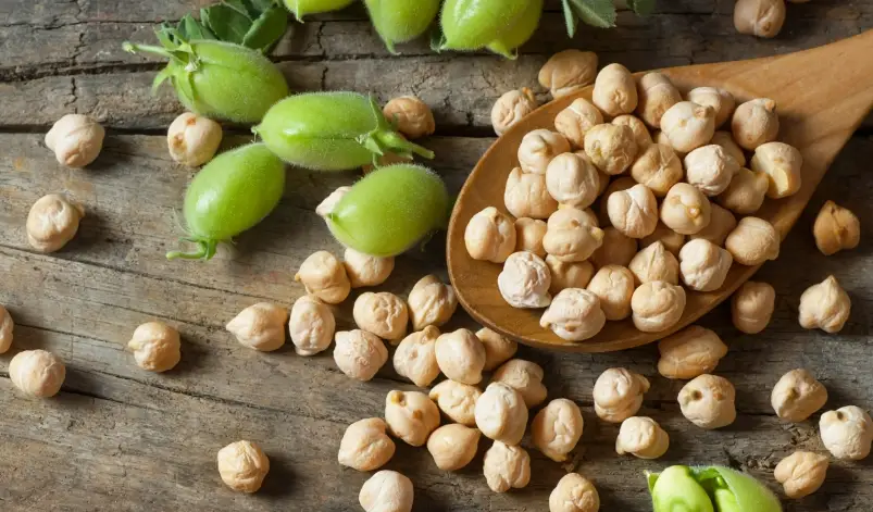 鷹嘴豆家常料理