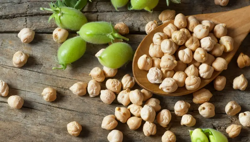 鷹嘴豆營養 鷹嘴豆營養