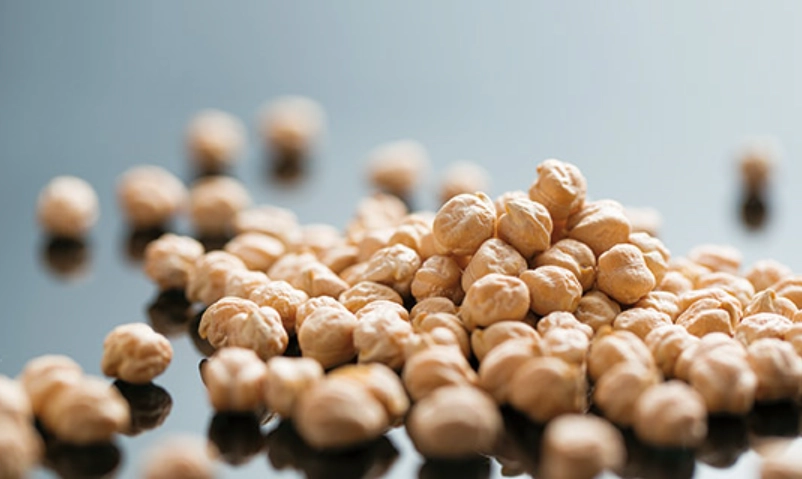 鷹嘴豆營養 鷹嘴豆營養