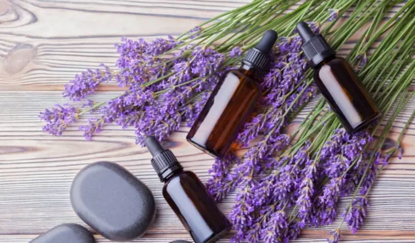 薰衣草精油用法 薰衣草精油用法