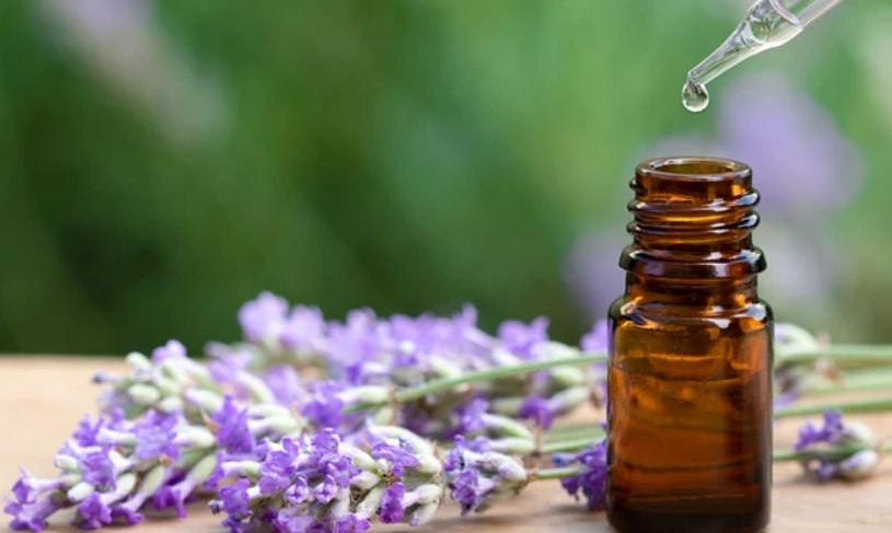 薰衣草精油用法 薰衣草精油用法