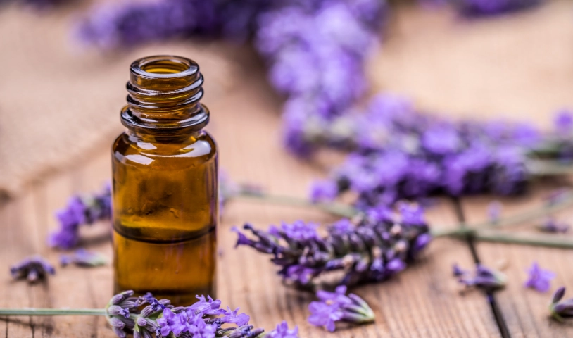 薰衣草精油功效