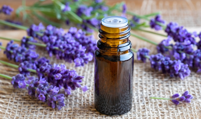 薰衣草精油用法 薰衣草精油用法