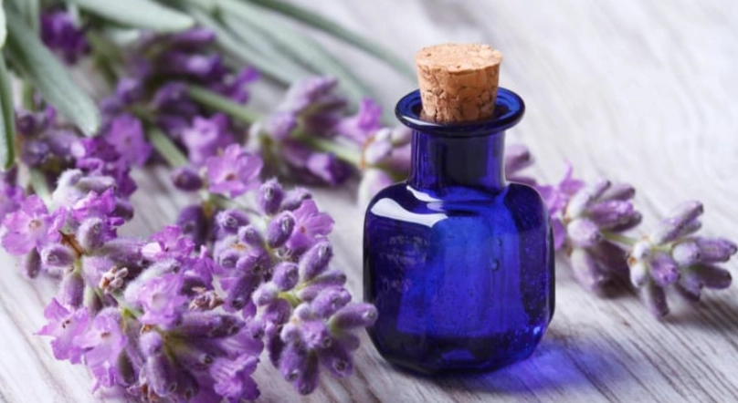 薰衣草精油推薦 薰衣草精油推薦