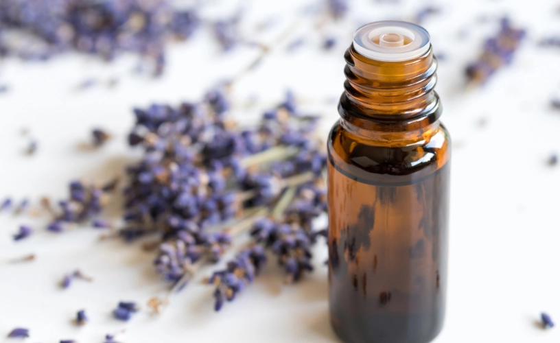 薰衣草精油推薦 薰衣草精油推薦