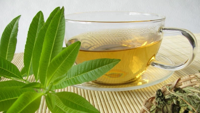 馬鞭草種植 馬鞭草種植