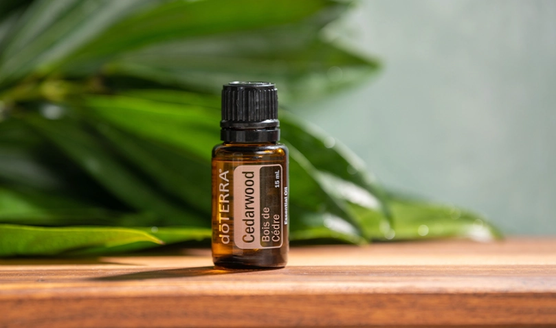 雪松精油用法 雪松精油用法