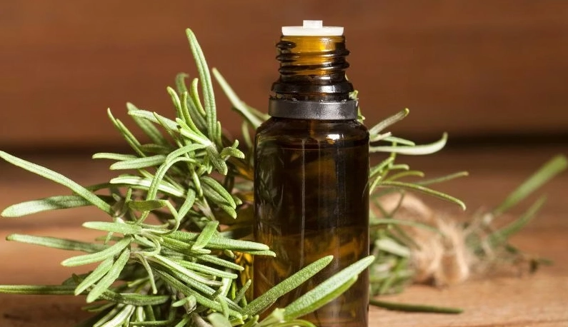 雪松精油好處 雪松精油好處