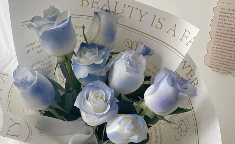 碎冰藍玫瑰價格