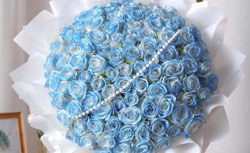 碎冰藍玫瑰價格
