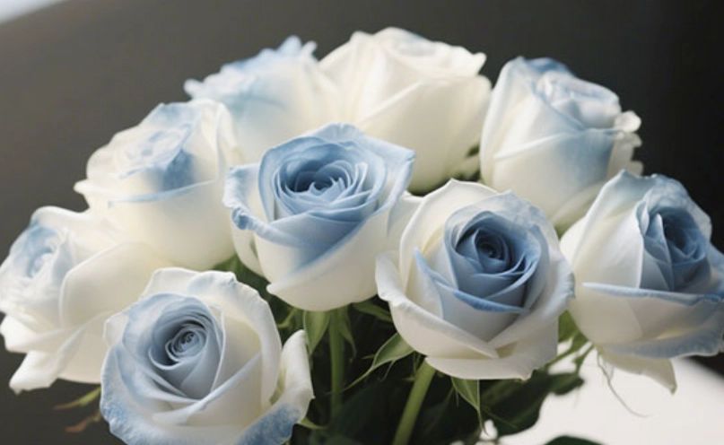 碎冰藍玫瑰送禮