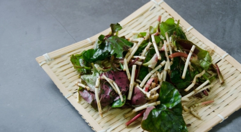 魚腥草功效 煮法 魚腥草功效 煮法