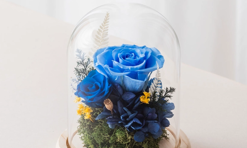 藍玫瑰永生花
