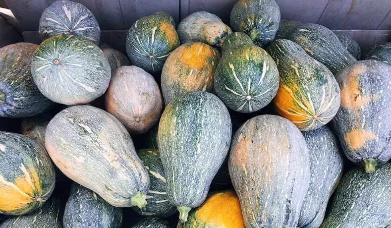 南瓜料理早餐 南瓜料理早餐