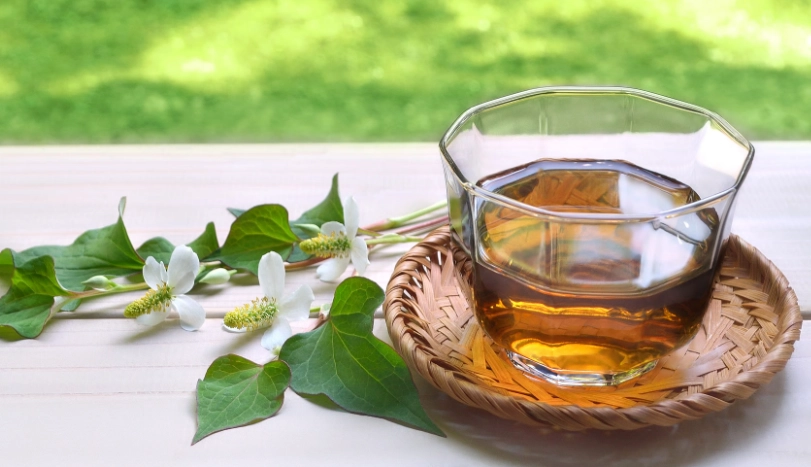 魚腥草可以每天喝嗎？中醫師與過來人的完整解答與注意事項