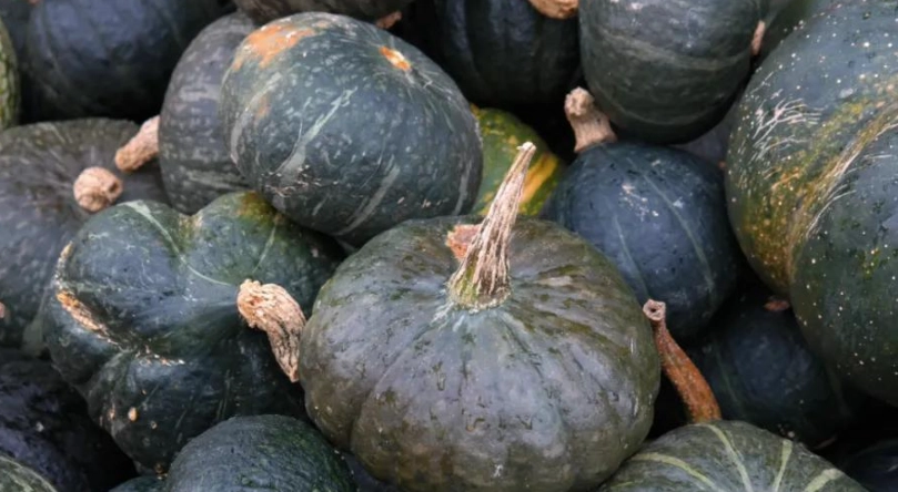 低卡南瓜料理 低卡南瓜料理