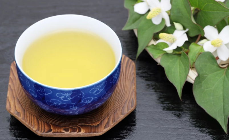 魚腥草副作用 魚腥草副作用