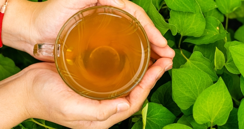 魚腥草枸杞茶功效