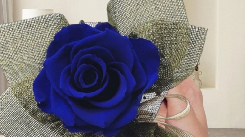 藍色永生花禮物