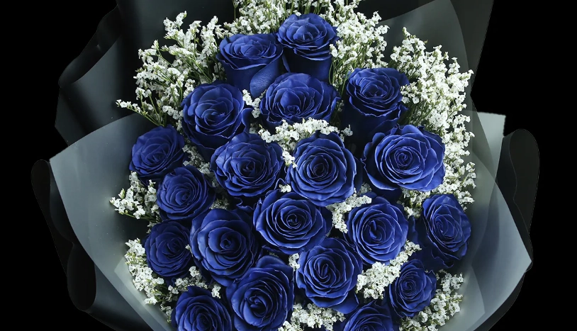 藍玫瑰花束 推薦