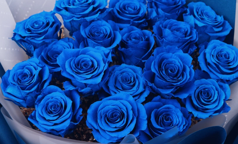 藍玫瑰花束 推薦