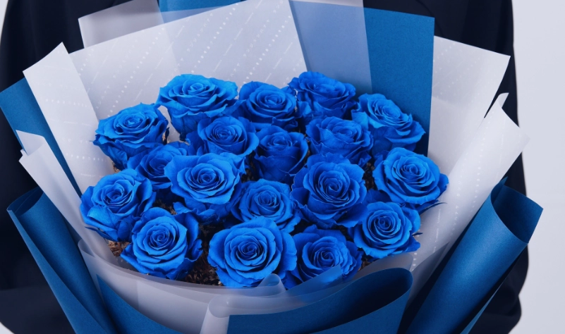 藍色玫瑰花語