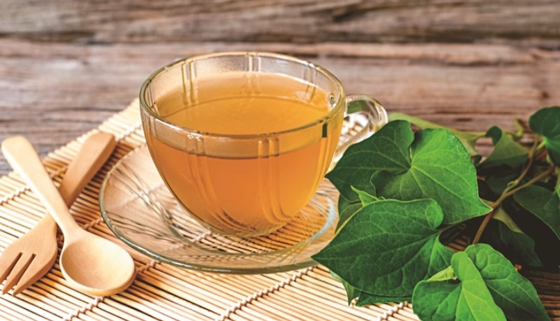 魚腥草茶怎麼煮