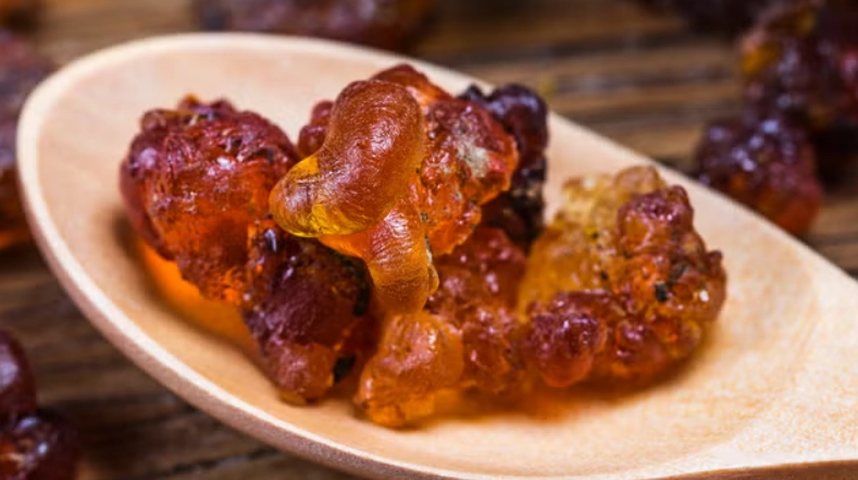 桃膠禁忌 桃膠禁忌