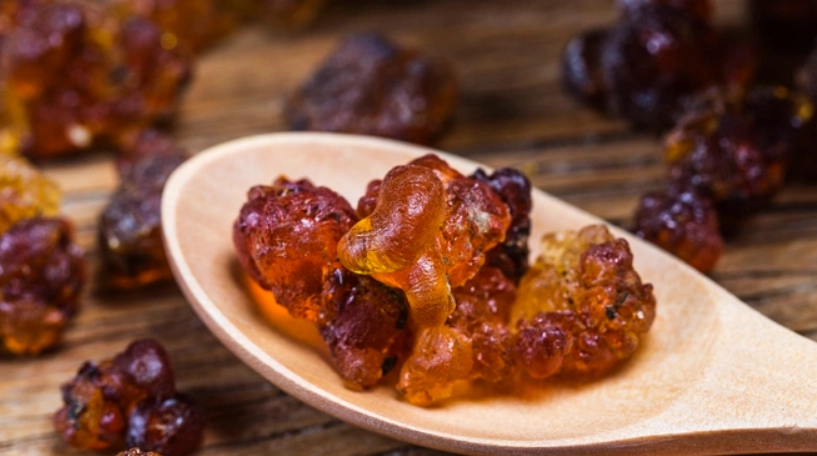 桃膠怎麼吃 桃膠怎麼吃