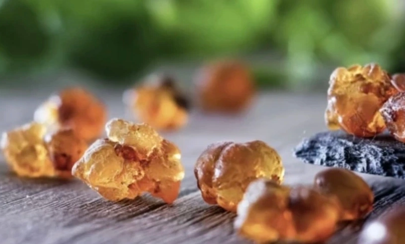 桃膠功效 桃膠功效