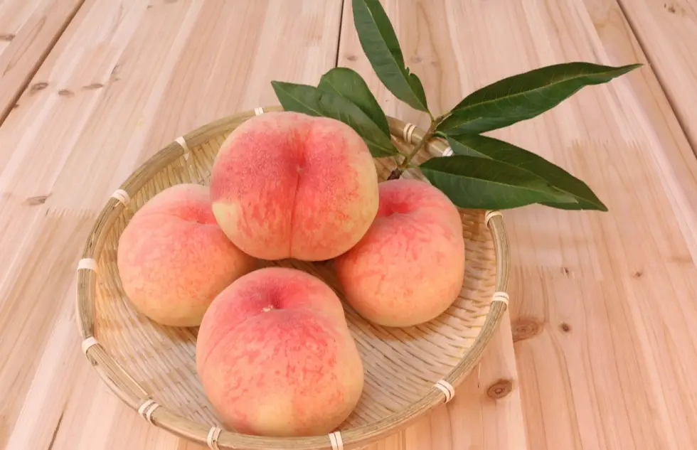 日本水蜜桃價格