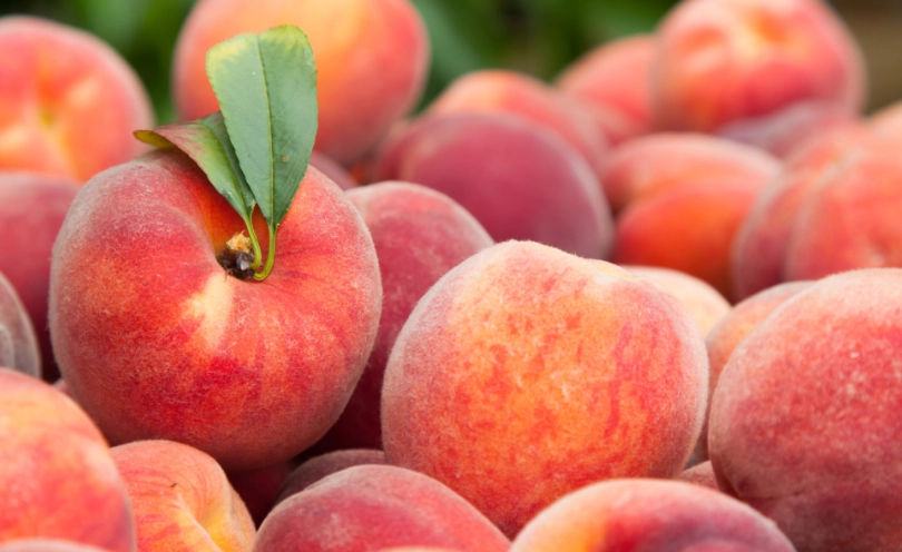 日本水蜜桃哪裡買 日本水蜜桃哪裡買