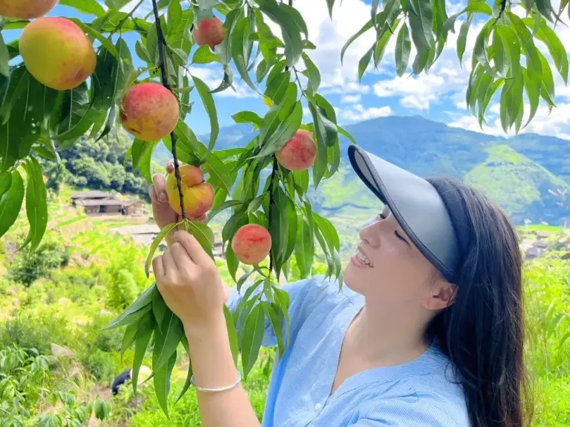 日本水蜜桃產地全攻略：山梨、岡山、福島三大產區親訪心得與選購秘訣