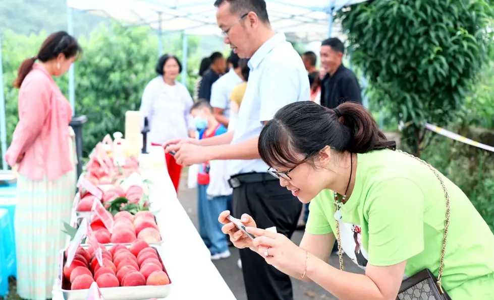 水蜜桃挑選技巧