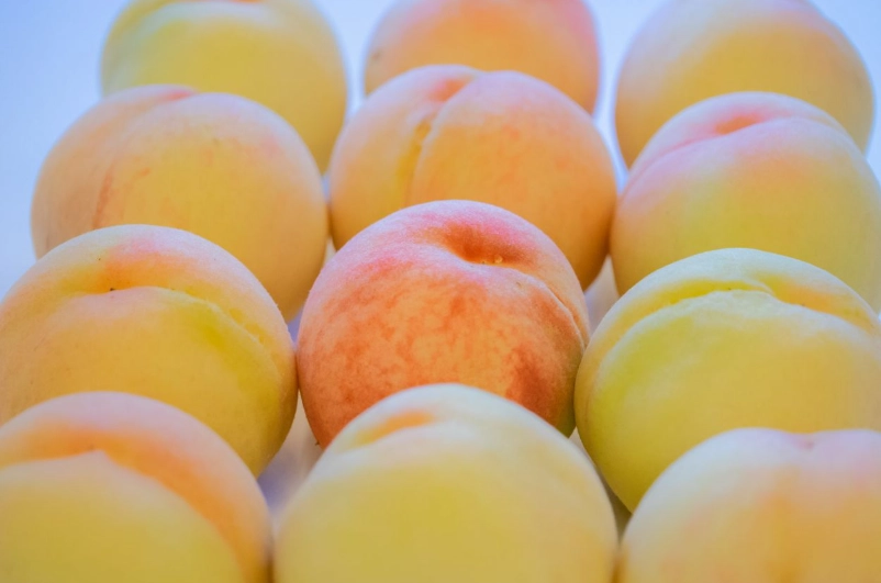 水蜜桃品種介紹 水蜜桃品種介紹