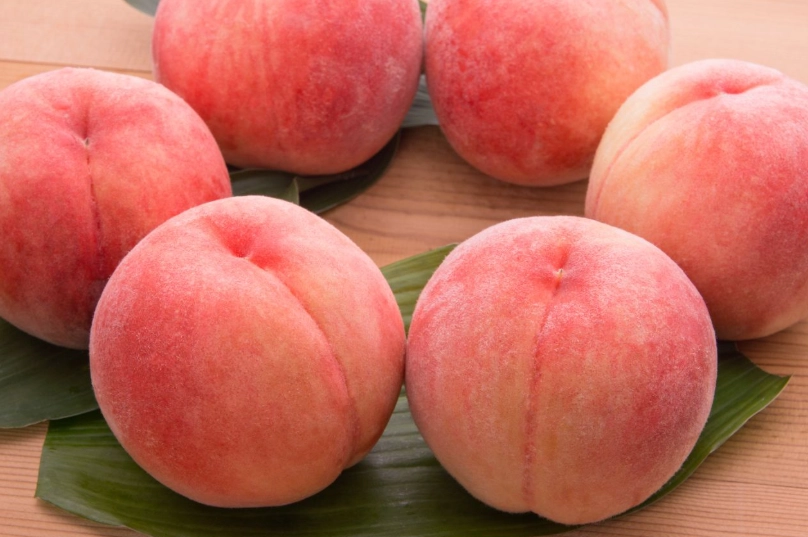 水蜜桃品種介紹 水蜜桃品種介紹