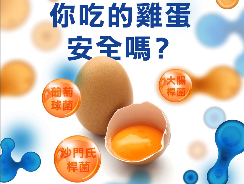 太陽蛋細菌 症狀