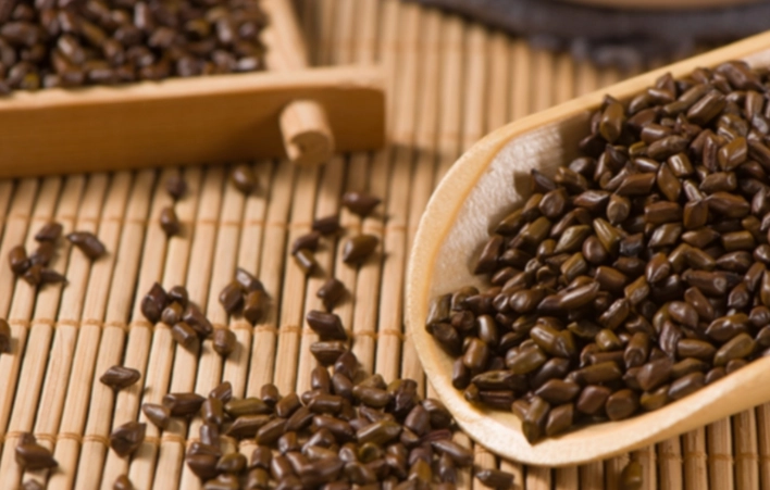 決明子茶功效與禁忌 決明子茶功效與禁忌