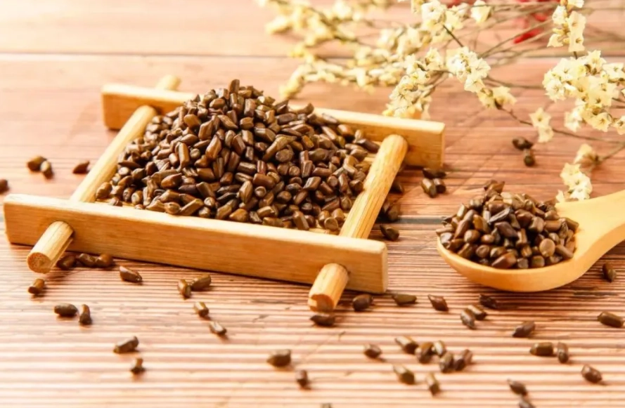 決明子茶怎麼泡 決明子茶怎麼泡