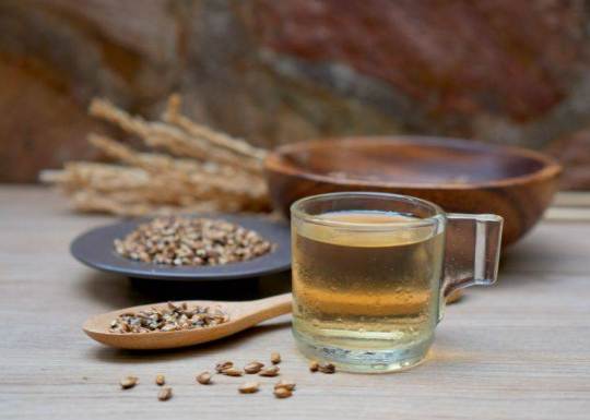 自製麥茶方法 自製麥茶方法