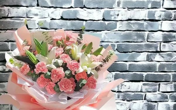 送康乃馨指南 送康乃馨指南