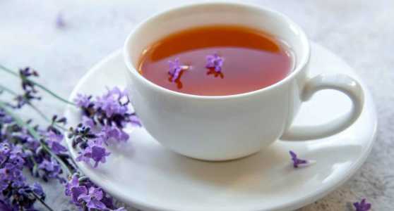 誰不能喝薰衣草茶