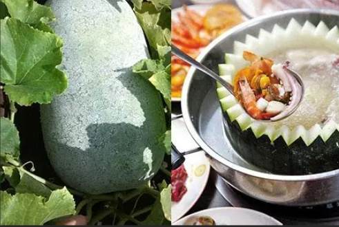 冬瓜食用禁忌
