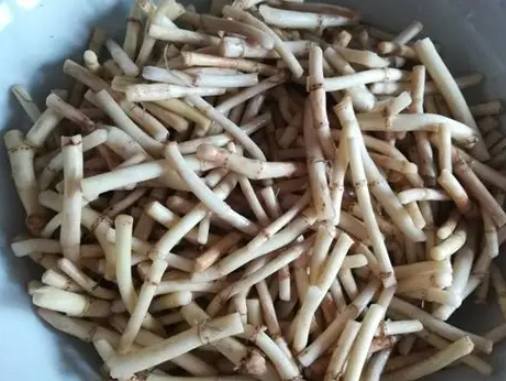 魚腥草涼拌食譜