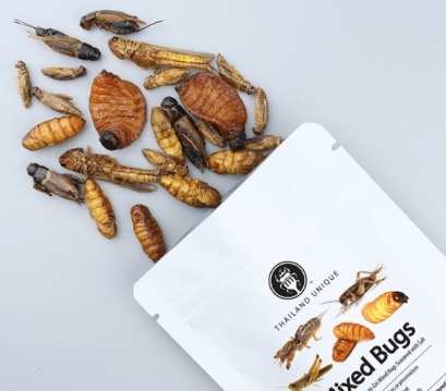 很廢但實用的禮物