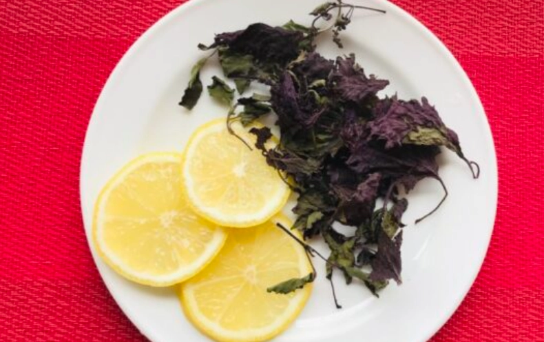 紫苏柠檬茶禁忌 紫苏柠檬茶禁忌
