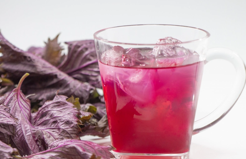 紫蘇茶注意事項